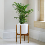 Anzio Stone White Planter with Wooden Stand H38.5Cm D24Cm ( New Embossed Logo) - Rogey