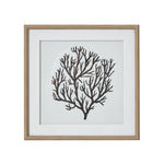 Atol Coral Art Mounted In Beaded Frame - Rogey