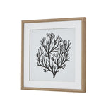 Atol Coral Art Mounted In Beaded Frame - Rogey