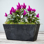 Balcony Trough Ella black H17Cm D37Cm - Rogey