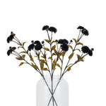 Black Chrysanthemum Stem - Rogey