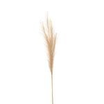 Bleached Faux Pampas Grass Stem - Rogey