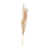 Bleached Large Faux Pampas Grass Stem - Rogey