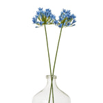 Blue Agapanthus Stem - Rogey