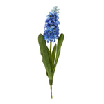 Blue Hyacinth Stem - Rogey