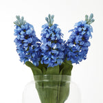 Blue Hyacinth Stem - Rogey