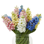 Blue Hyacinth Stem - Rogey