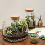 Bottle Shape Medium Terrarium DIY Kit H22.5cm W14cm - Rogey