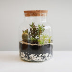 Bottle Shape Medium Terrarium DIY Kit H22.5cm W14cm - Rogey