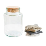 Bottle Shape Medium Terrarium DIY Kit H22.5cm W14cm - Rogey