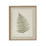 Bracken Art On Texture - Torn Paper With Beaded Frame - Rogey