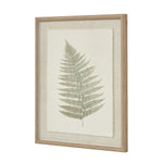 Bracken Art On Texture - Torn Paper With Beaded Frame - Rogey