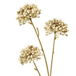 Brown Allium Spray - Rogey