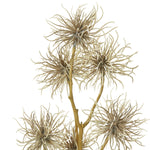 Brown Xanthium Spray - Rogey