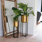 Calla Planter Stand Black/Antique Gold H58CM D22CM - Rogey