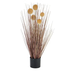 Coffee Pompom Alliums In Black Pot - Rogey