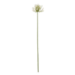 Cream Agapanthus Spray - Rogey