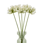 Cream Agapanthus Spray - Rogey