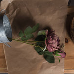 Dusty Pink Spray Rose Peony - Rogey