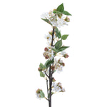 English Blossom Branch - Rogey