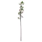 English Blossom Branch - Rogey