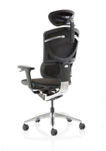 Ergo Click Plus High Back Ergonomic Posture Office Chair with Arms and Headrest - Rogey