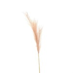 Faux Pampas Grass Stem - Rogey