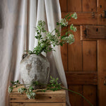 Faux White Cow Parsley Ammi - Rogey