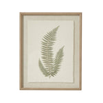 Fern Art On Texture - Torn Paper With Beaded Frame - Rogey