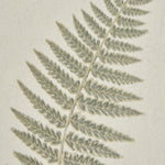 Fern Art On Texture - Torn Paper With Beaded Frame - Rogey