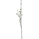 Green Berry Willow Stem - Rogey