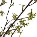 Green Berry Willow Stem - Rogey