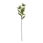 Green Sea Holly Spray - Rogey