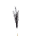 Grey Faux Pampas Grass Stem - Rogey