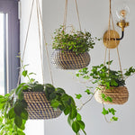 Hanging Seagrass Planter Set of 2 - Rogey