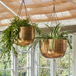 Indoor Mayfair Antique Brass Hanging Planter H21Cm D30Cm - Rogey