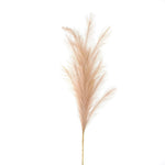 Large Faux Pampas Grass Stem - Rogey