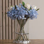 Light Blue Large Headed Agapanthus - Rogey