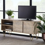 Light Gold Plasma Media Unit - Rogey