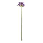 Lilac Agapanthus Spray - Rogey