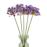 Lilac Agapanthus Spray - Rogey