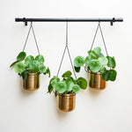 Linear Hanging Planters 81CM Black and Gold - Rogey