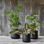 Lisbon Planter Anthracite H26Cm D26Cm - Rogey