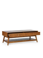 Lowry 2 Drawer Coffee Table - Rogey