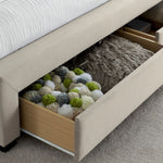 Newton Warmstone Velvet 4 Drawer Storage Bed Double - Rogey