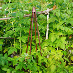 Outdoor Climber Tripod Bronze H120cm W30cm - Rogey