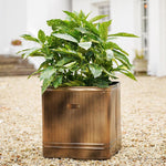 Outdoor Hampton Square Copper Metal Planter H35Cm W34Cm - Rogey