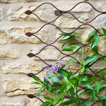 Outdoor Honeycomb Trellis Bronze H84cm W62cm - Rogey