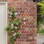 Outdoor Honeycomb Trellis Bronze H84cm W62cm - Rogey