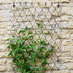 Outdoor Honeycomb Trellis Zinc H84cm W62cm - Rogey